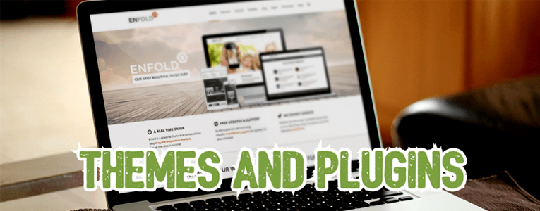 How to Stay Away from Vulnerable WordPress Themes & Plugins?